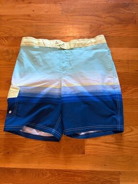 Lined Swim Trunks